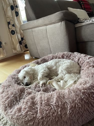 Customer photo review of Puppery Kuschelbett - Das Original