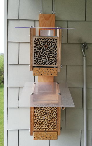 Customer photo review of Startpopulation - Osmia bicornis