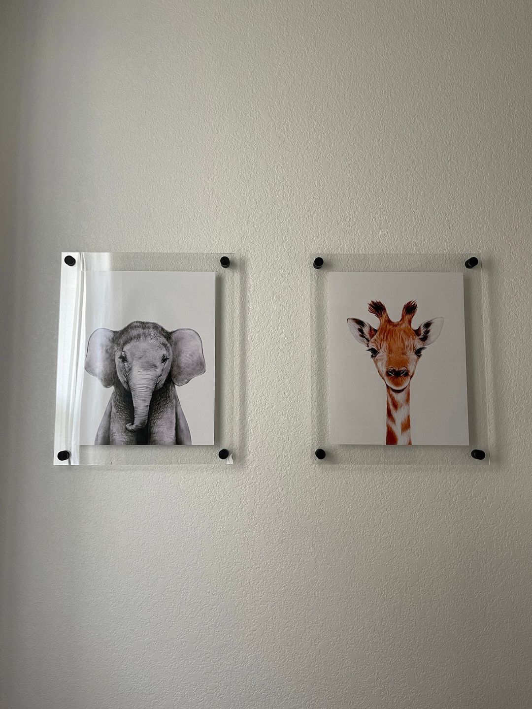 Customer photo review of Acrylic Floating Frame