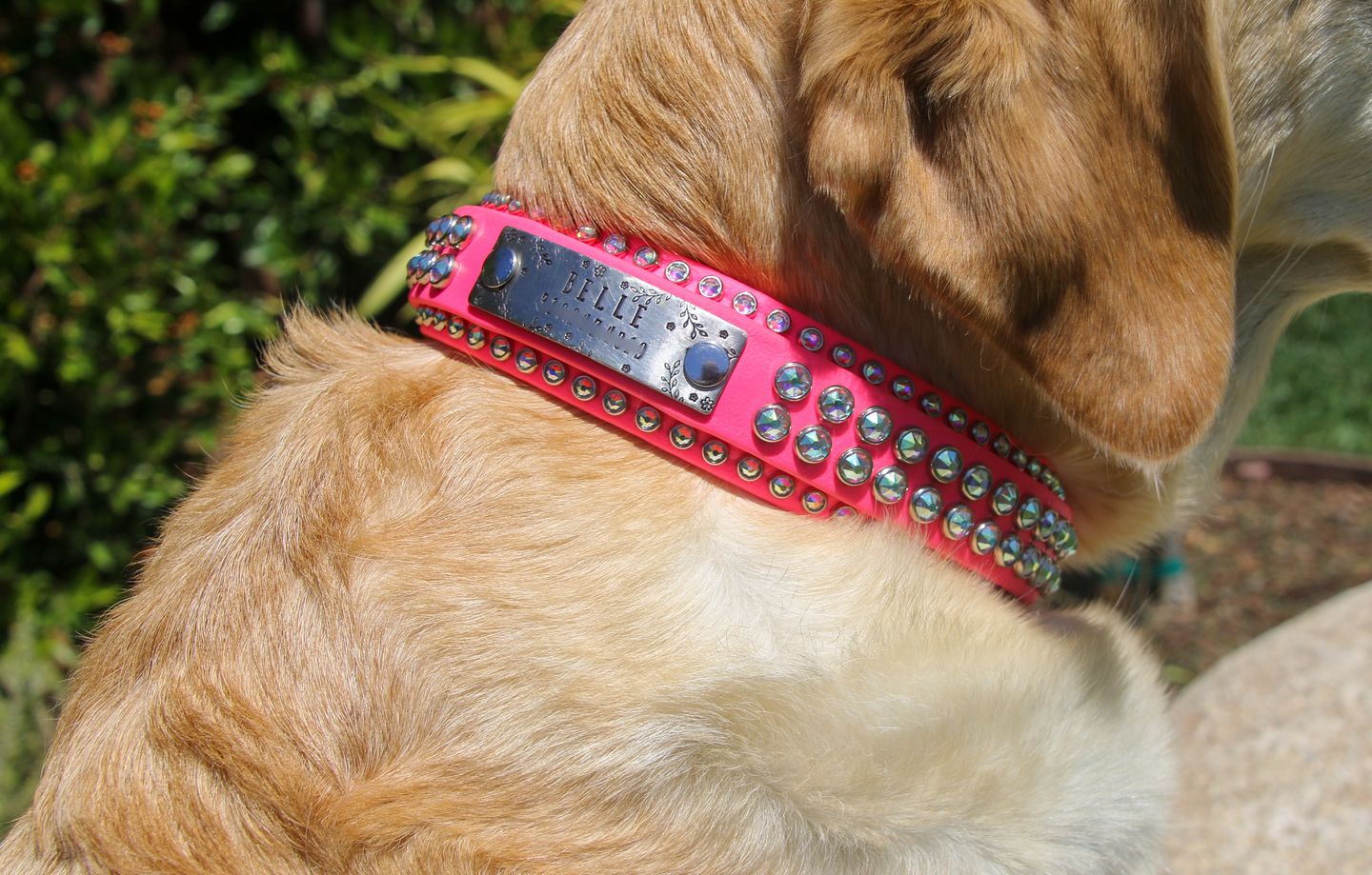 Customer photo review of Rivet-On Tag