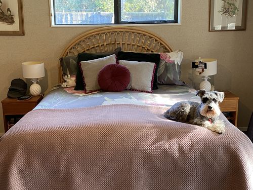 Customer photo review of Butterfly Rattan Bedhead SALE - PICK UP ONLY