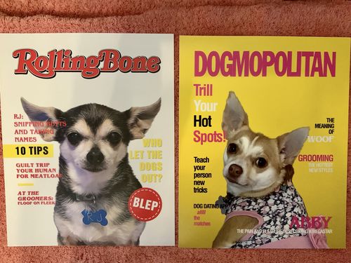 Customer photo review of 'Dogmopolitan' Personalized Pet Poster