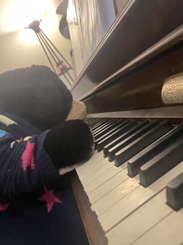 Customer photo review of SKOGGY BEAR