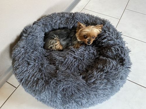 Customer photo review of Puppery Kuschelbett - Das Original