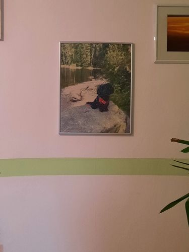 Kundenbewertung mit Foto zu Eigenes Foto / Eigenes Design Diamond Painting