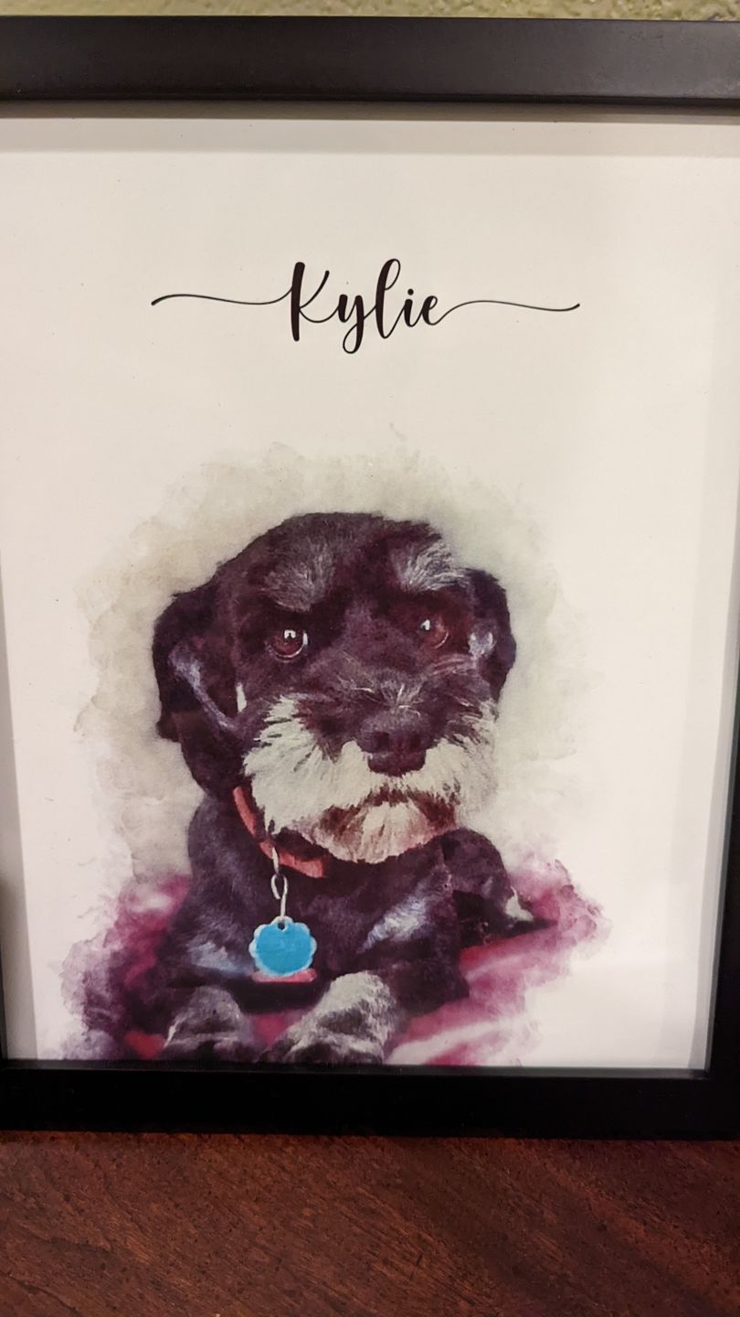 Customer photo review of Custom Pet Portrait
