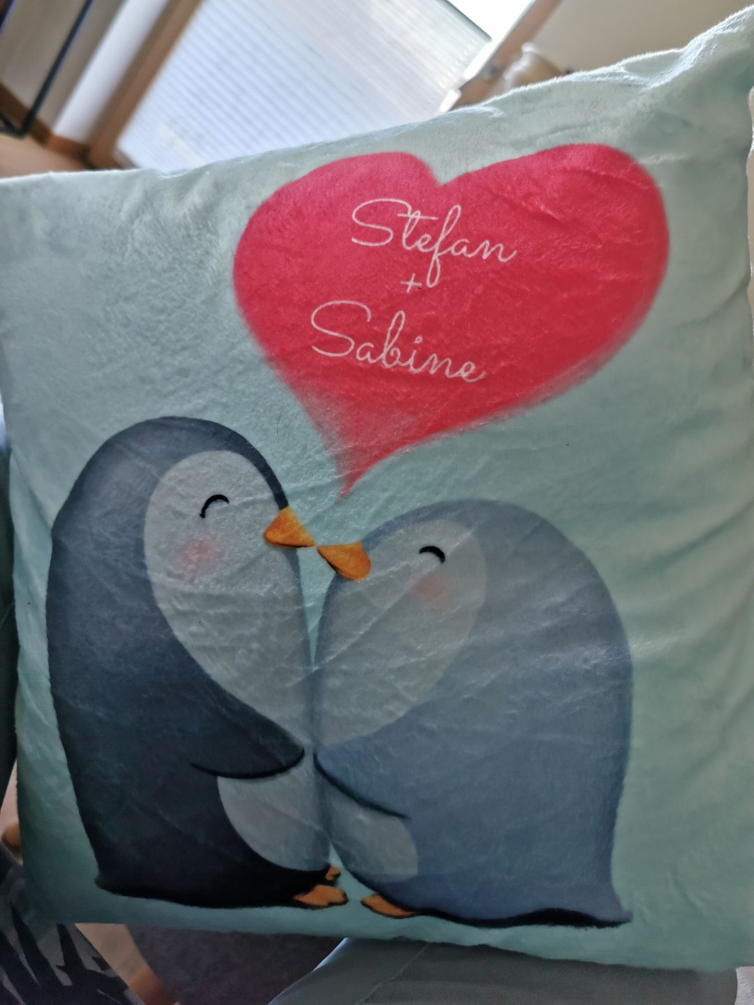 Customer photo review of Pinguinliebe - Paar-Kissen