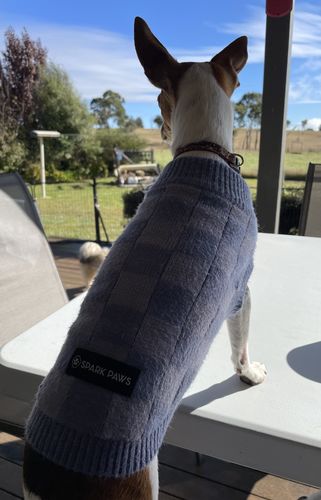 Customer photo review of 90s Retro Sky Dye Dog Hoodie
