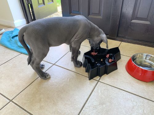 Customer photo review of Fenrir Puzzle Bowl