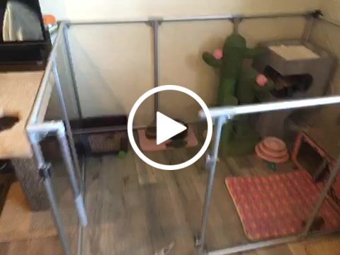 Customer video review of Swing Arm Assembly