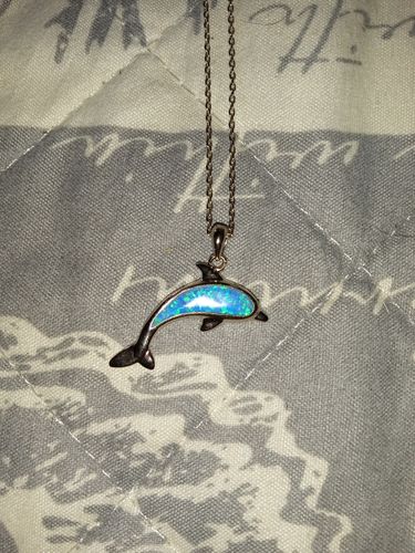 Customer photo review of Save a Dolphin Necklace
