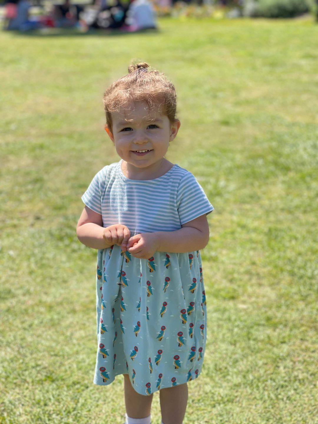 Customer photo review of Take To The Skies Pointelle Little Twirler Dress