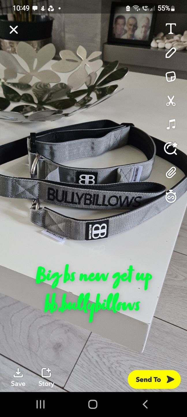 Customer photo review of Nylon Snap Hook Lead | Series 2 - Metal Grey