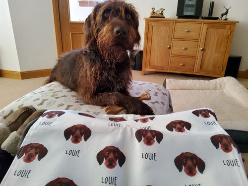 Customer photo review of German Wirehaired Pointer Icon with Name Napkins