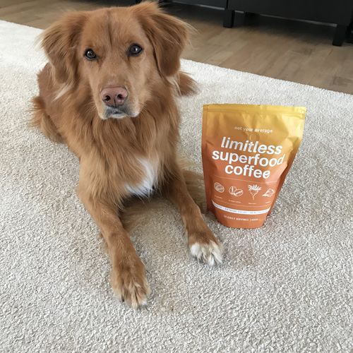Customer photo review of Limitless CoffeeCollagen + MCT Oil
