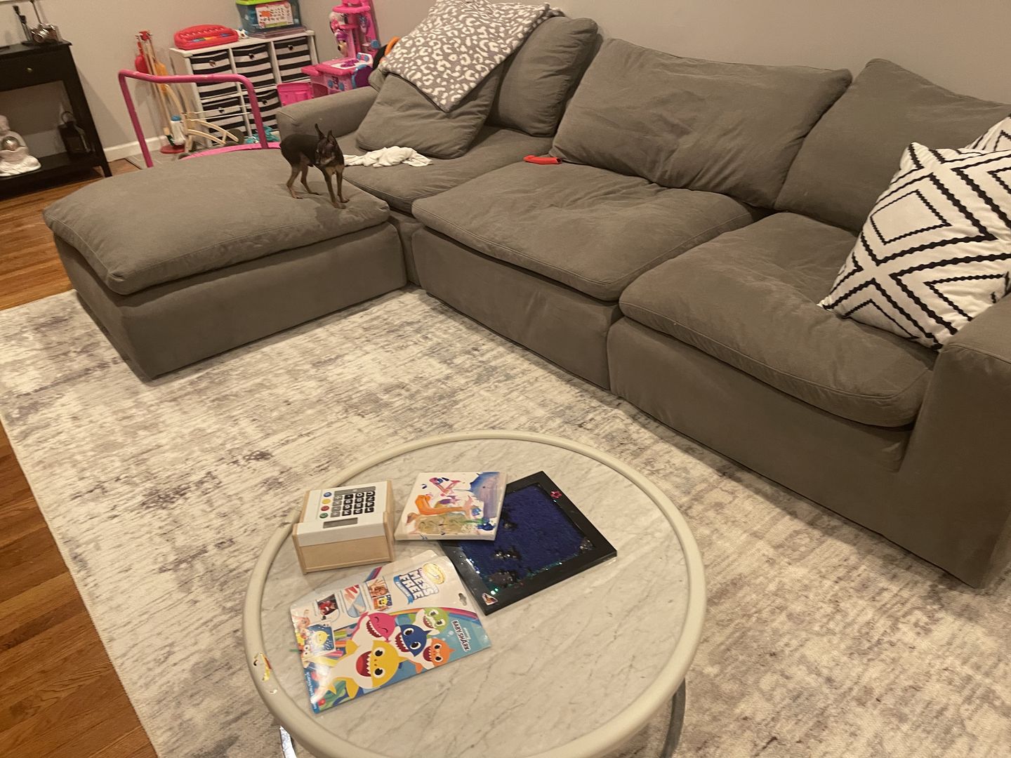 Customer photo review of Abstract Evalina Grey Rug