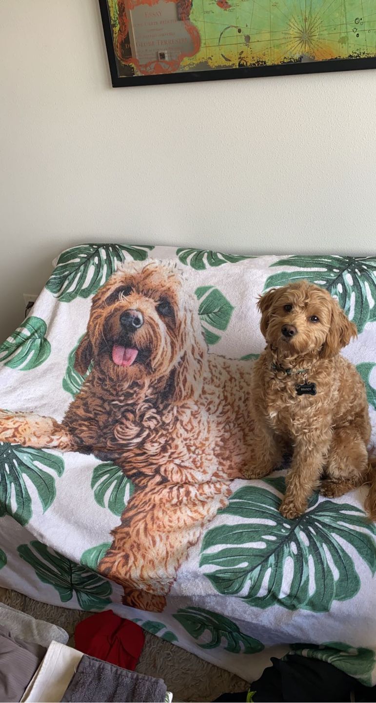 Customer photo review of Custom Pet Art Fleece Blanket