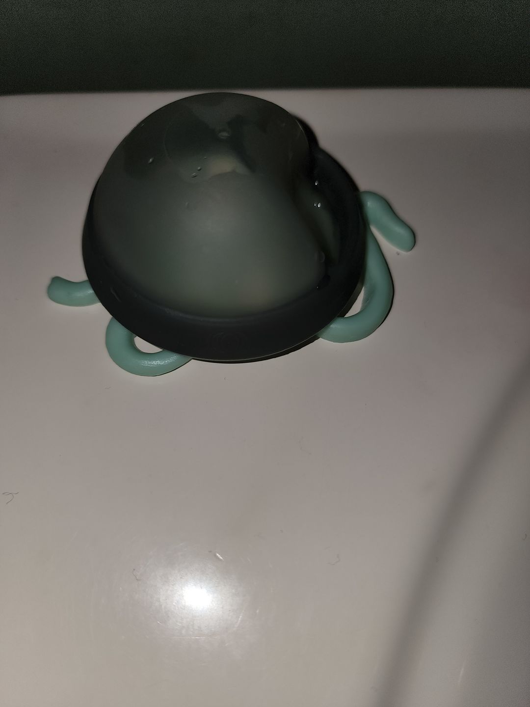 Customer photo review of Spot
