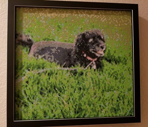 Customer photo review of Custom Diamond Painting Kits for Adults DIY 5D - Photo Diamond Art Shipped from USA