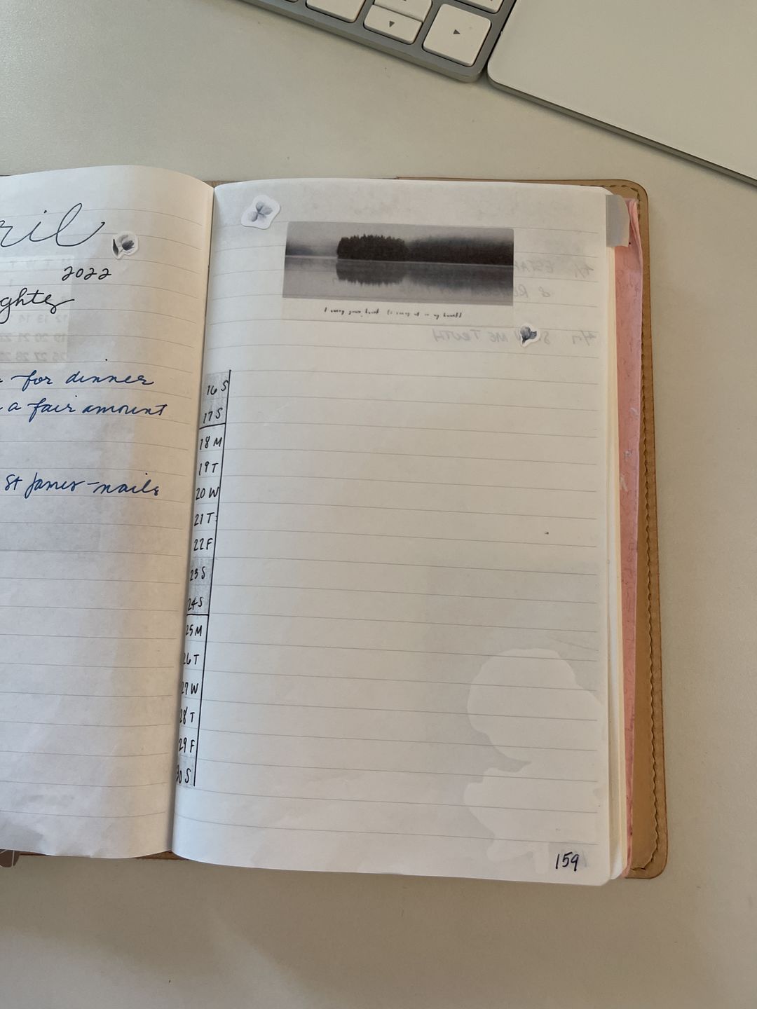 Customer photo review of Washi Stickers