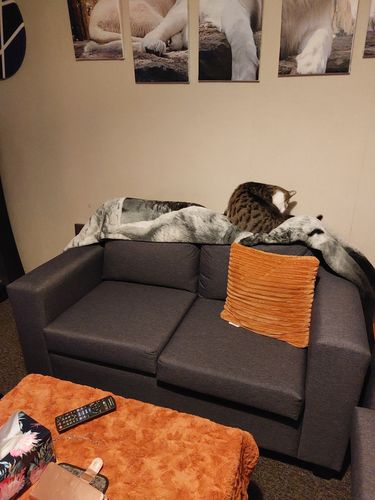 Customer photo review of Alice Sofa 1/2/3 Seat