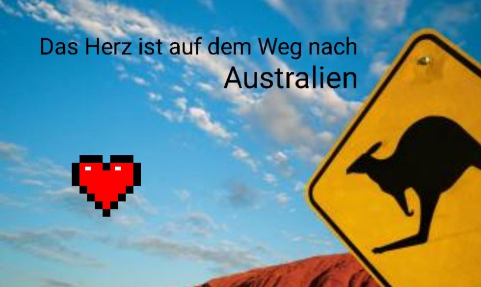 Customer photo review of Glückshufeisen aus edlem Stahl noble Design (personalisierbar) - ausgefallenes Hochzeitsgeschenk