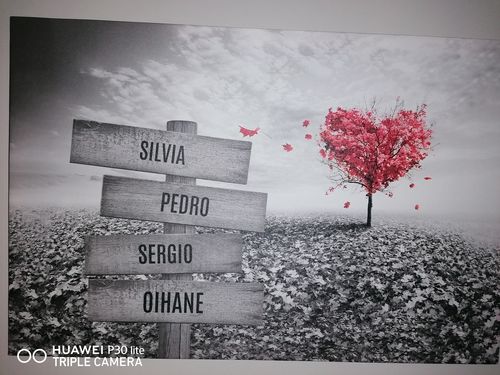 Customer photo review of Lienzo Árbol Corazón con Nombres Personalizados