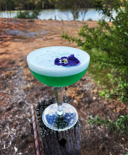 Customer photo review of VIOLAS - Freeze Dried Edible Flowers