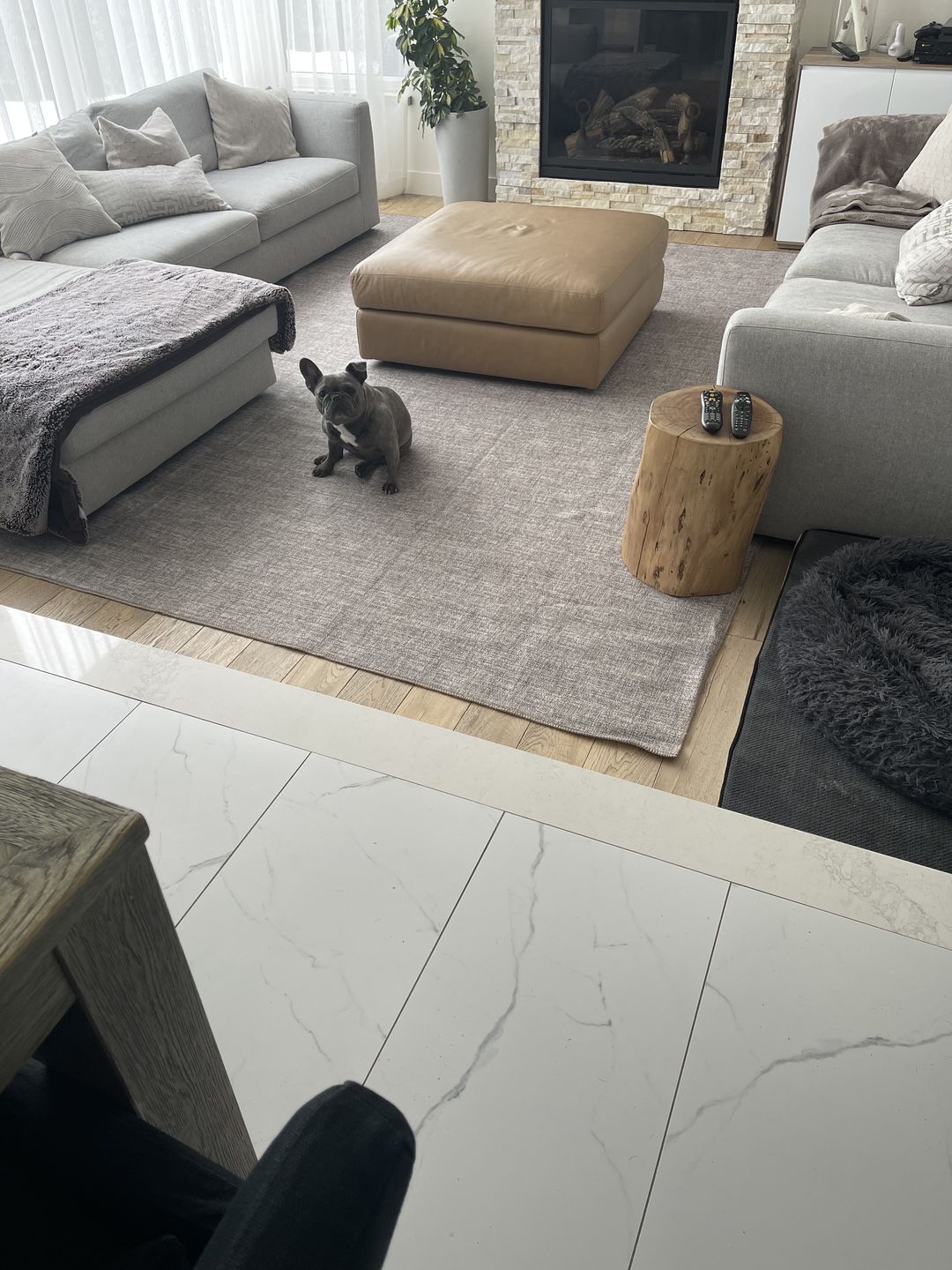 Customer photo review of Urban Zinc Solid Area Rug