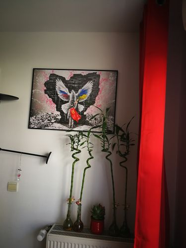 Customer photo review of "Child of peace" - limitée à 150 exemplaires