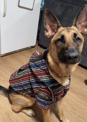 Customer photo review of Playa Poncho