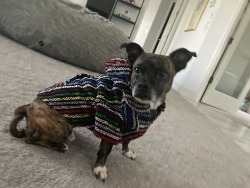 Customer photo review of Playa Poncho