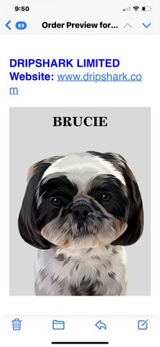 Customer photo review of The Passport - Custom Pet Canvas