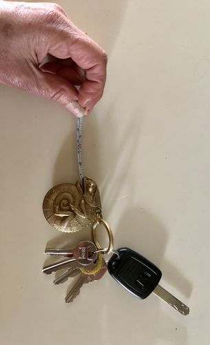 Customer photo review of Shipping Protection
