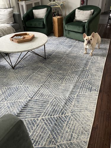 Customer photo review of Greenport Denim Rug