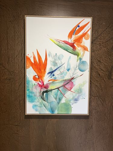 Customer photo review of Birds Of Paradise | Watercolor