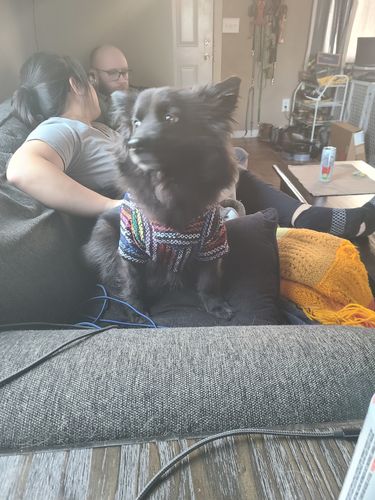 Customer photo review of Playa Poncho