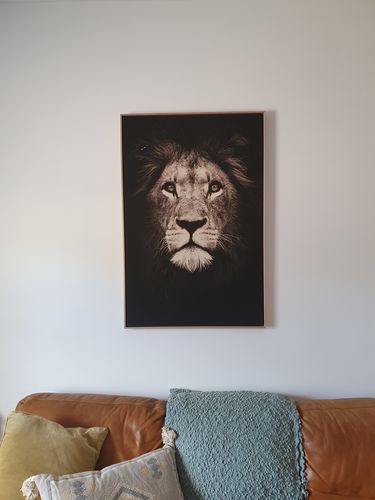 Customer photo review of Lion's Pride