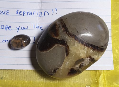 Customer photo review of Septarian Palm Stone