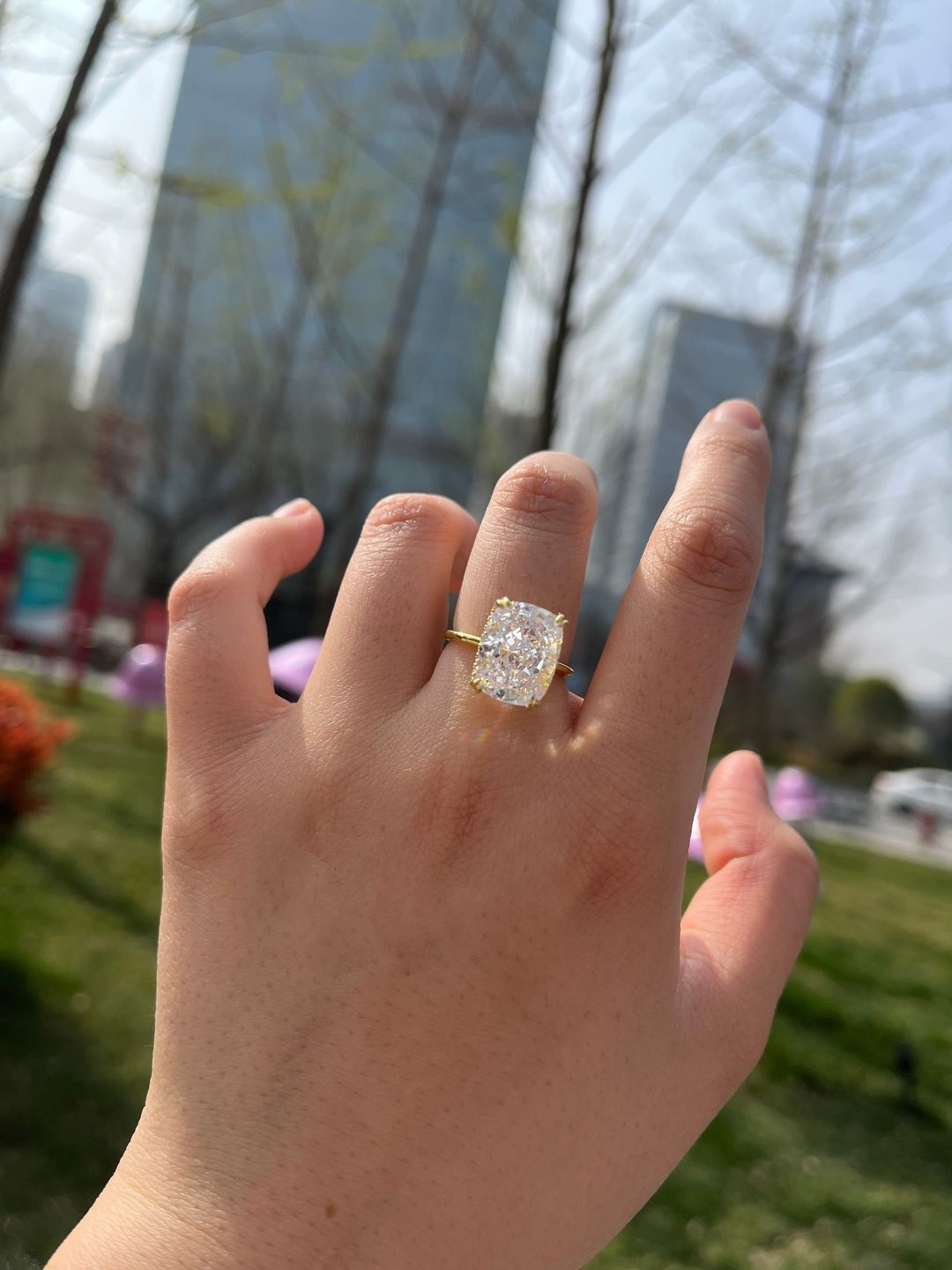 Customer photo review of S925 8.0 Carat Yellow/White Gold Cushion Cut Engagement Ring for Women In Sterling Silver