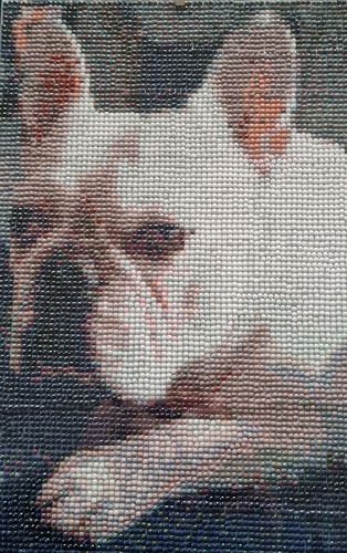 Kundenbewertung mit Foto zu Eigenes Foto / Eigenes Design Diamond Painting