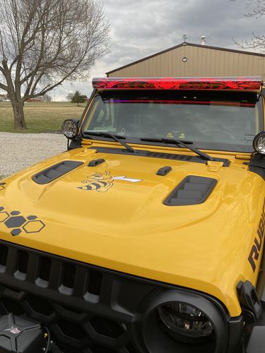 Customer photo review of 3D Skeleton Light Bar Insert