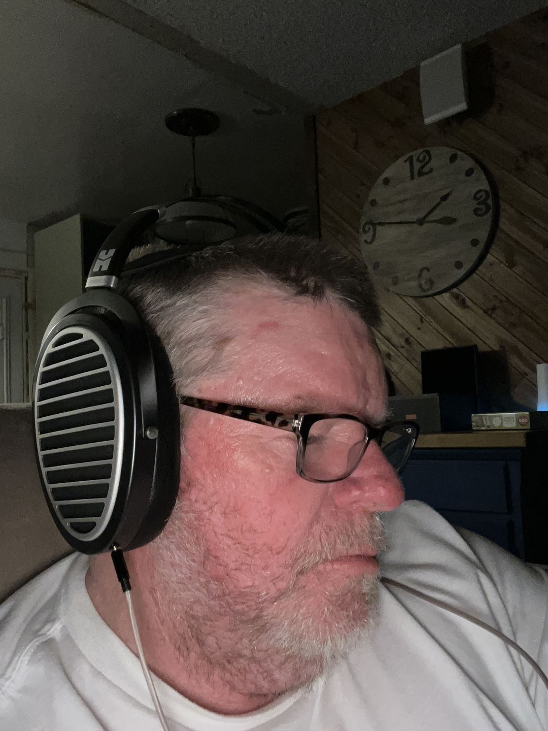 Customer photo review of Hifiman Ananda Planar Magnetic  Headphones - Stealth Magnets