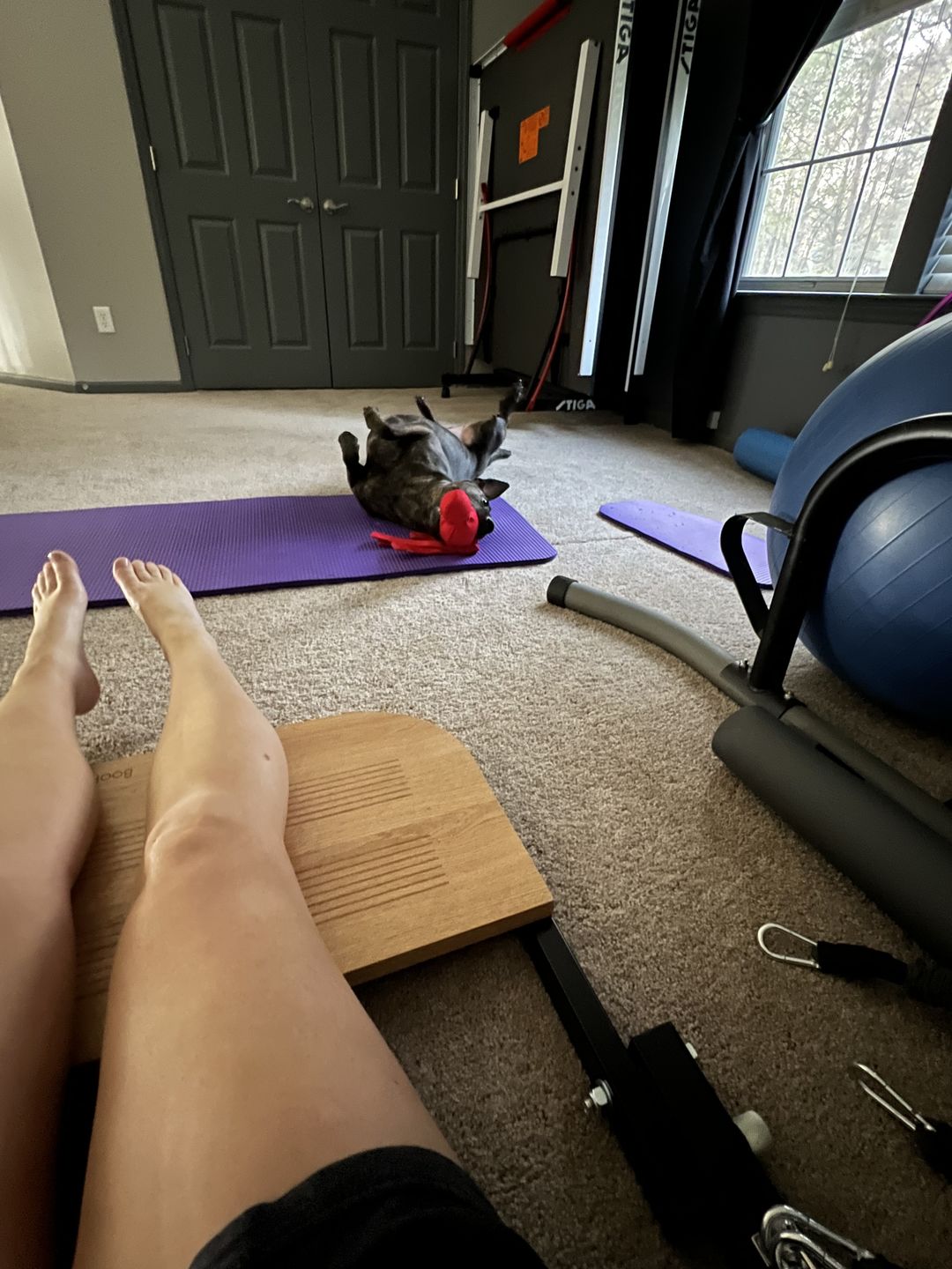Customer photo review of BootySprout