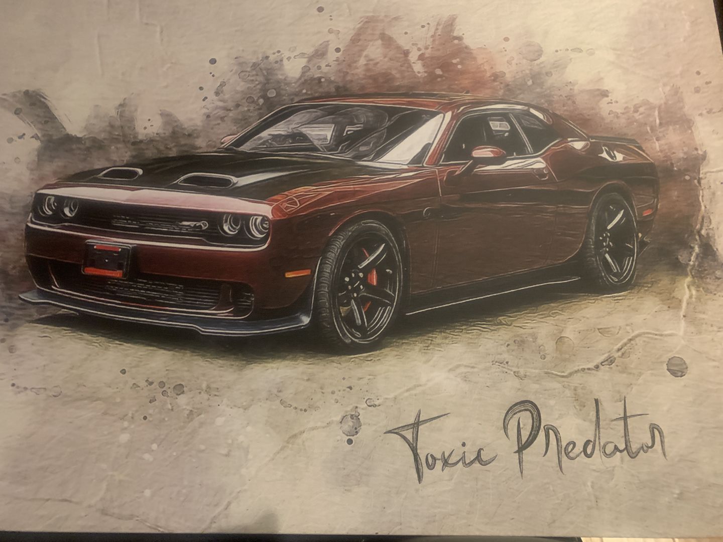 Customer photo review of Personalized Car photo Painting