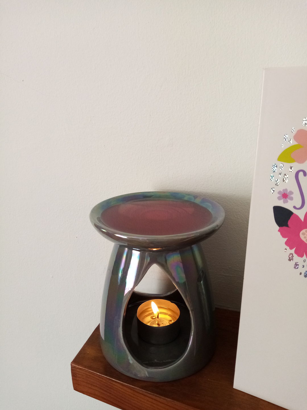 Customer photo review of Sea Shells