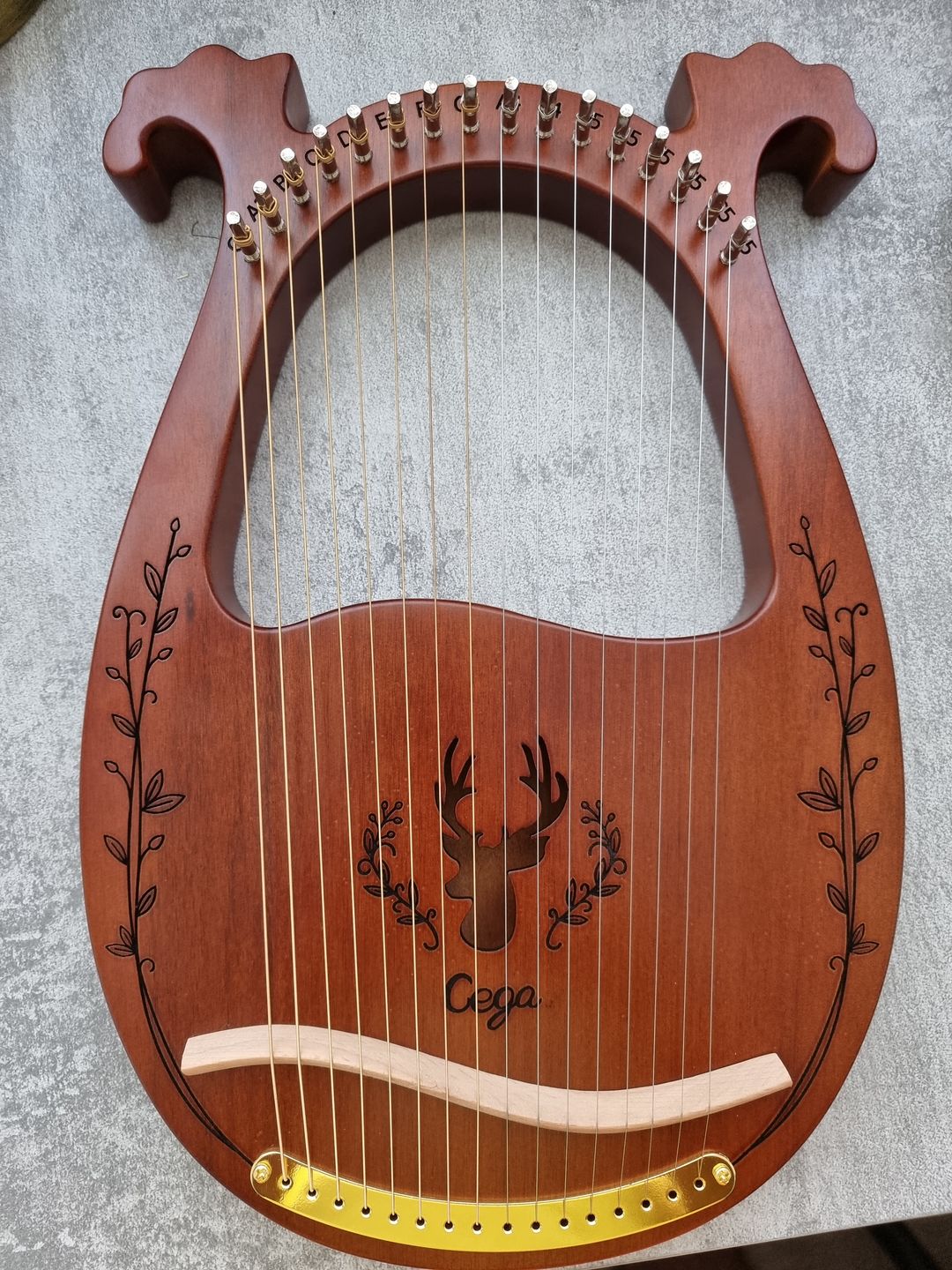 Customer photo review of NARA LYRE 16 String Mahogany w/Bag