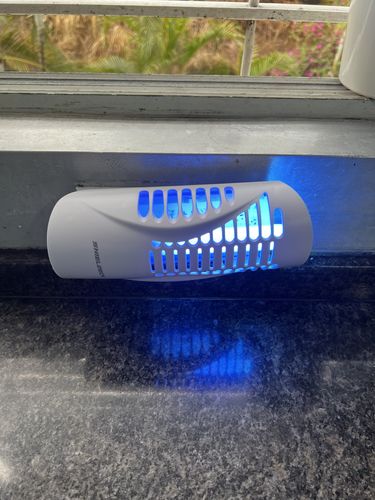 Customer photo review of Shieldeck® WallTrap - Plug-In Indoor Flying Insects Smart UV Trap