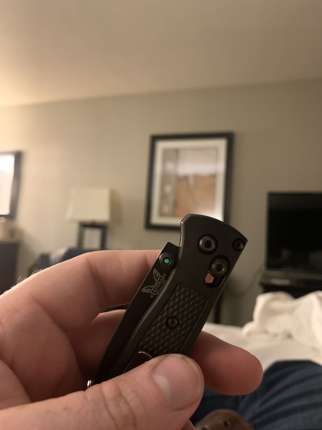 Customer photo review of Tritium Pry Bar