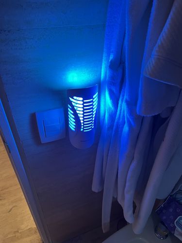 Customer photo review of Shieldeck® WallTrap - Plug-In Indoor Flying Insects Smart UV Trap